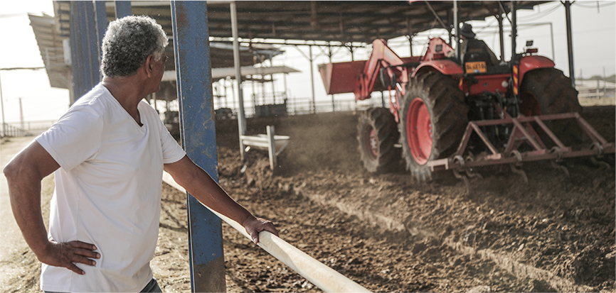 פעולת קלטור האדמה ברפת